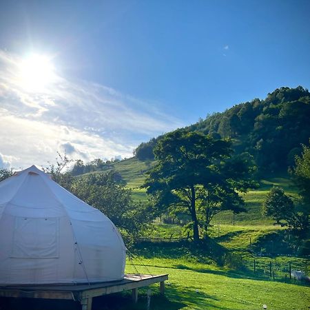 Flore'S Garden Glamping Bran  Bagian luar foto