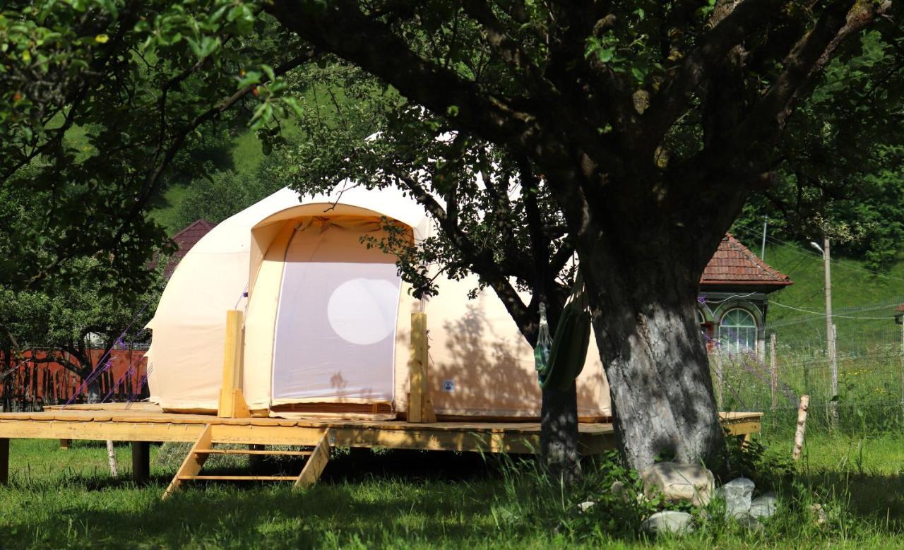 Flore'S Garden Glamping Bran  Bagian luar foto