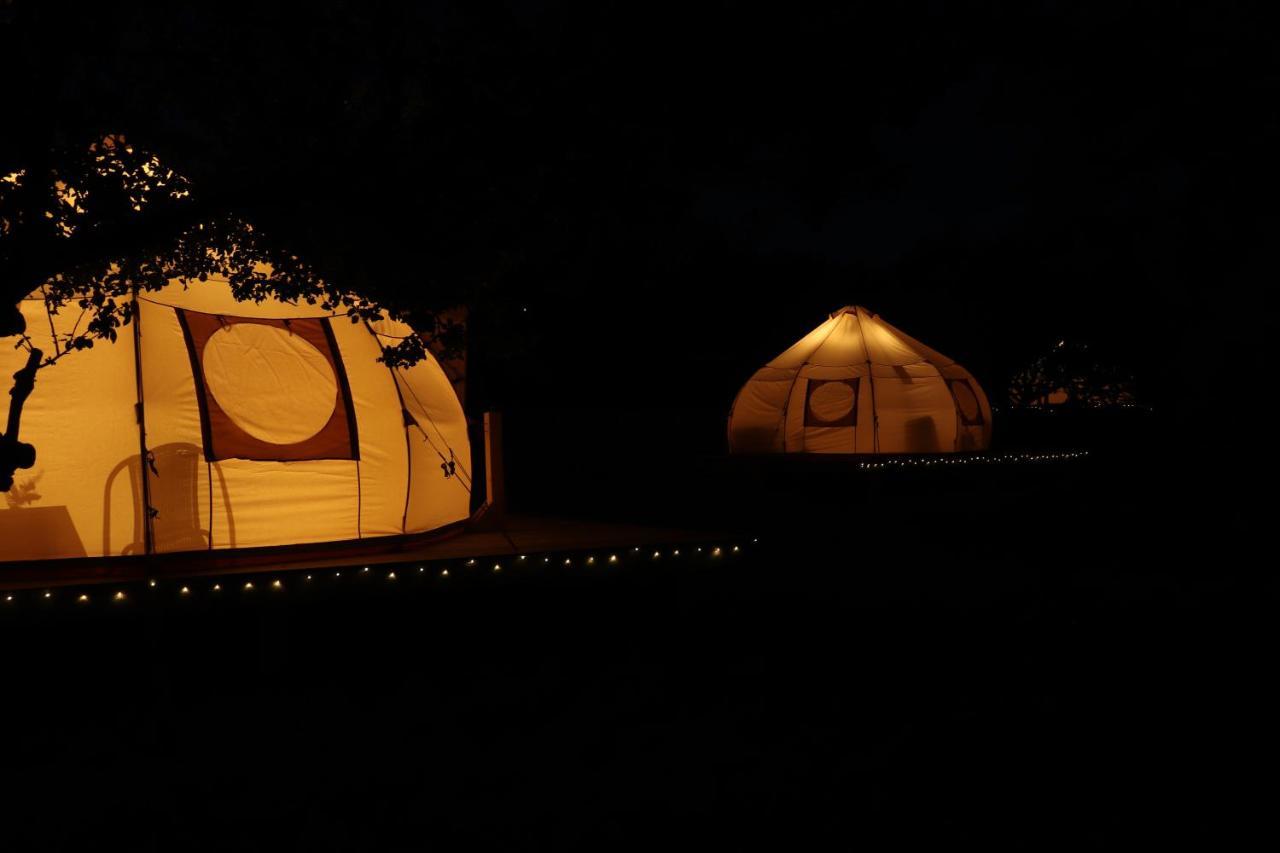 Flore'S Garden Glamping Bran  Bagian luar foto