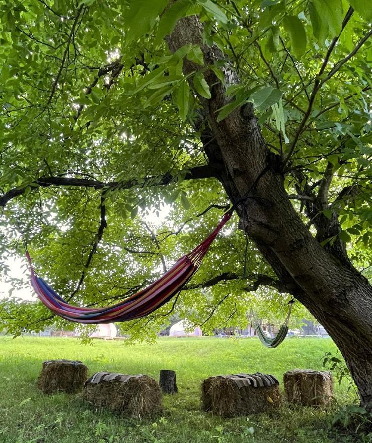 Flore'S Garden Glamping Bran  Bagian luar foto