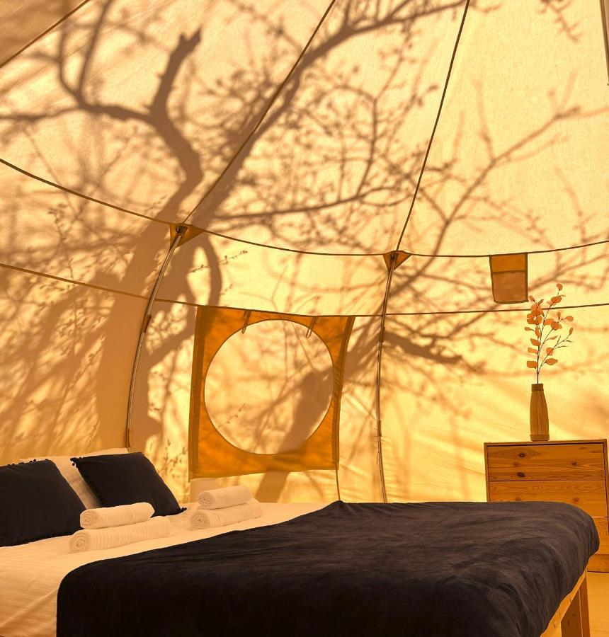 Flore'S Garden Glamping Bran  Bagian luar foto