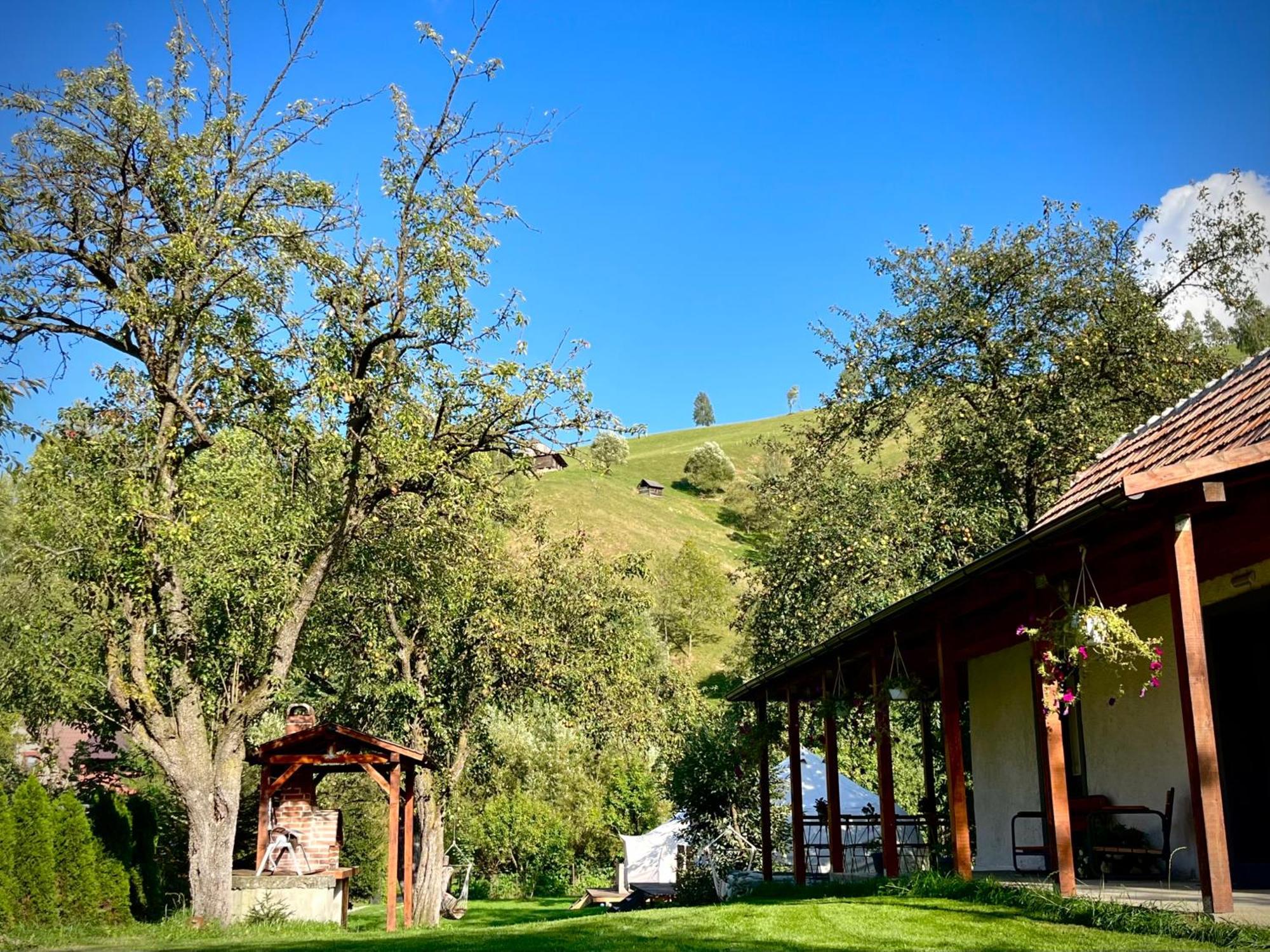 Flore'S Garden Glamping Bran  Bagian luar foto