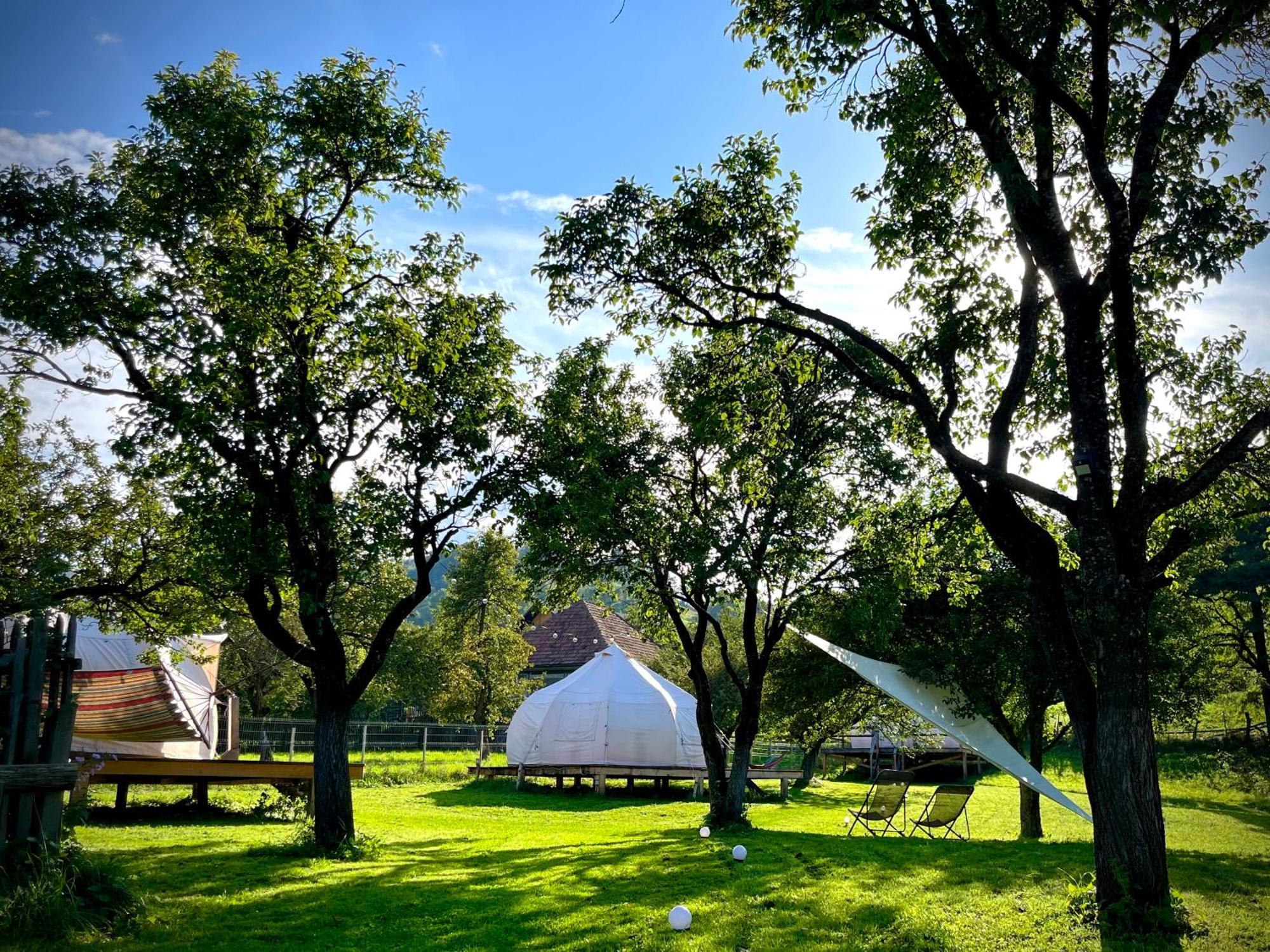 Flore'S Garden Glamping Bran  Bagian luar foto