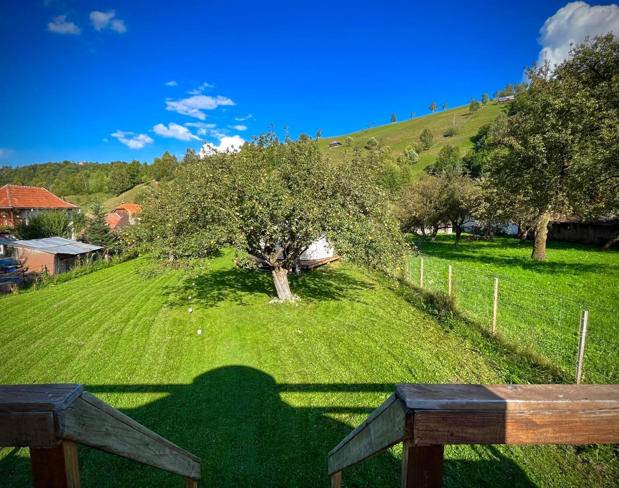 Flore'S Garden Glamping Bran  Bagian luar foto